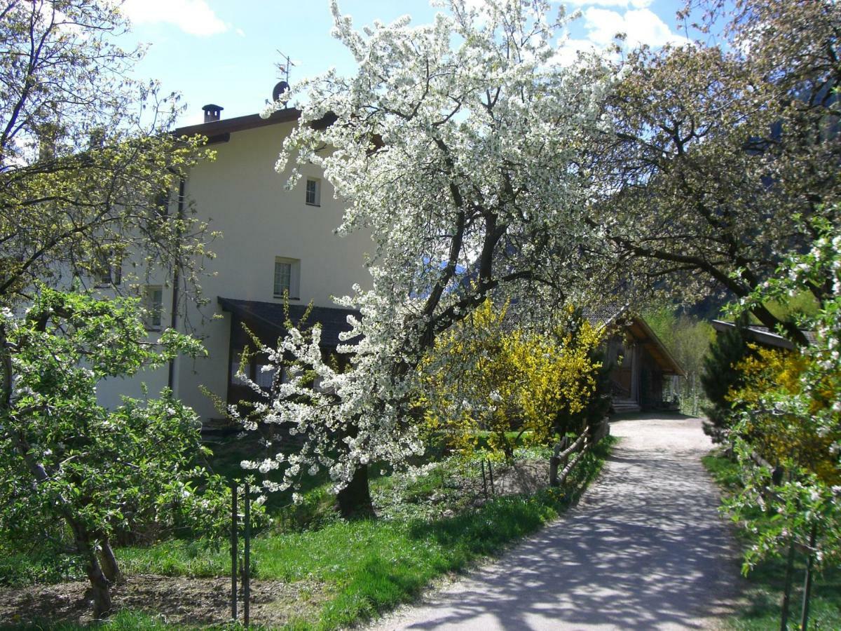 Mareinhof - Urlaub Auf Dem Apfelbauernhof Lejlighed Parcines Eksteriør billede